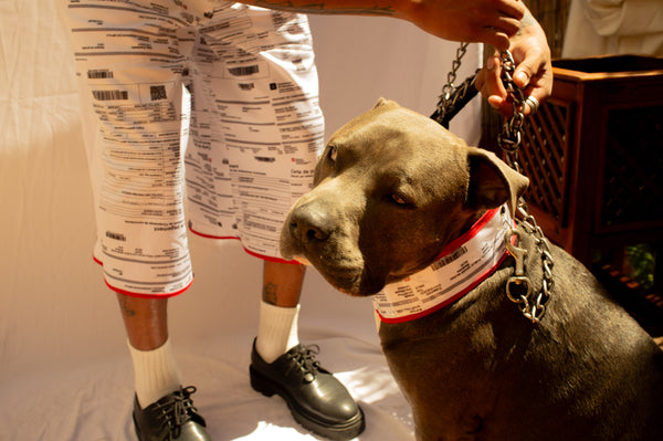 Multa Dog Collar