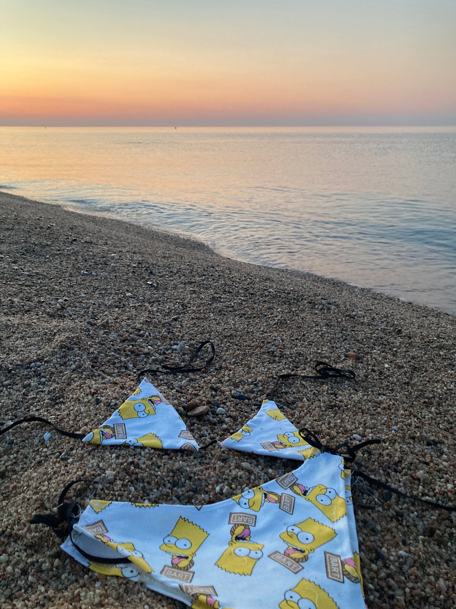 Up-cycled Character Bikini Top